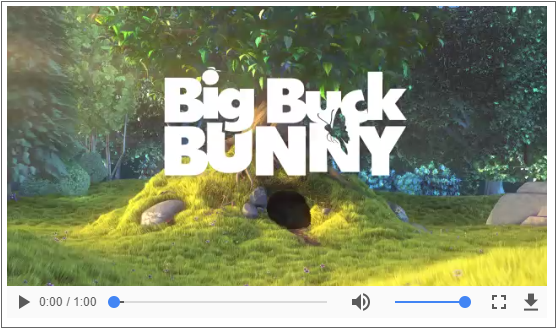 sample_videoplayer_01_02